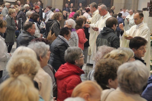 Katowice. Żywy Różaniec i wspólnoty maryjne w katedrze