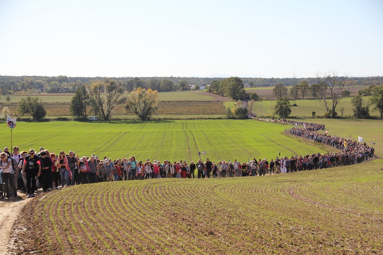 Pielgrzymka trzebnicka 2019 - cz. 6