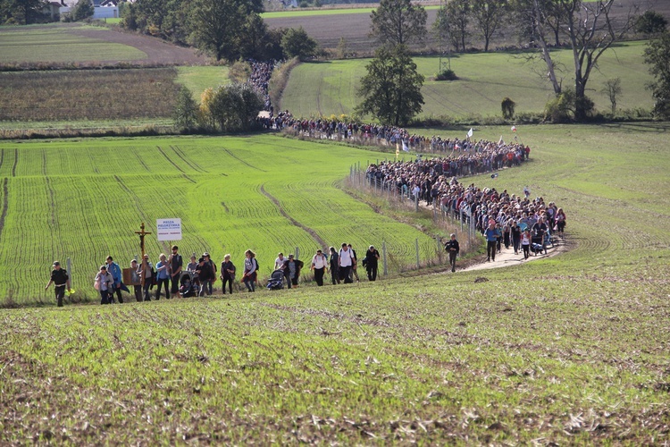 Pielgrzymka trzebnicka 2019 - cz. 6