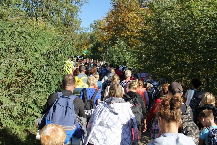 Pielgrzymka trzebnicka 2019 - cz. 6