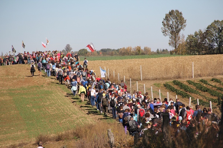 Pielgrzymka trzebnicka 2019 - cz. 7