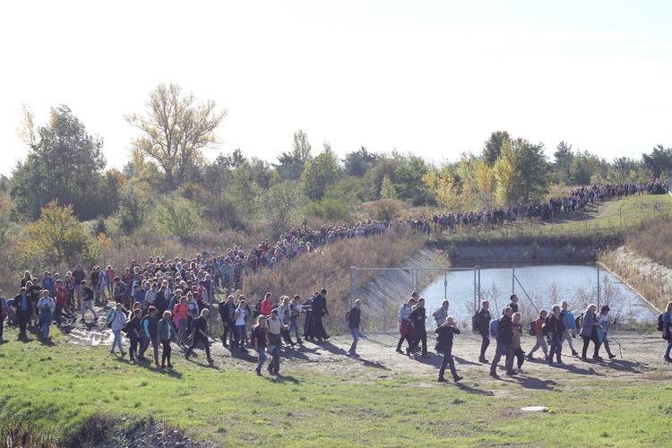 Pielgrzymka trzebnicka 2019 - cz. 11