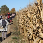 Pielgrzymka trzebnicka 2019 - cz. 13