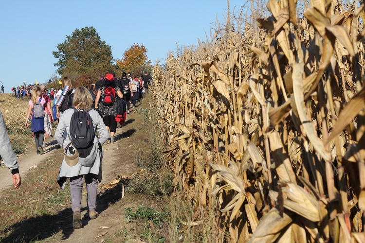 Pielgrzymka trzebnicka 2019 - cz. 13