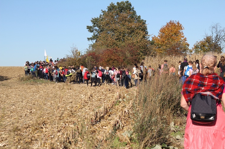 Pielgrzymka trzebnicka 2019 - cz. 13