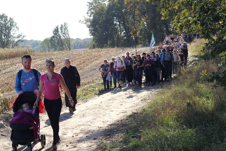 Pielgrzymka trzebnicka 2019 - cz. 13