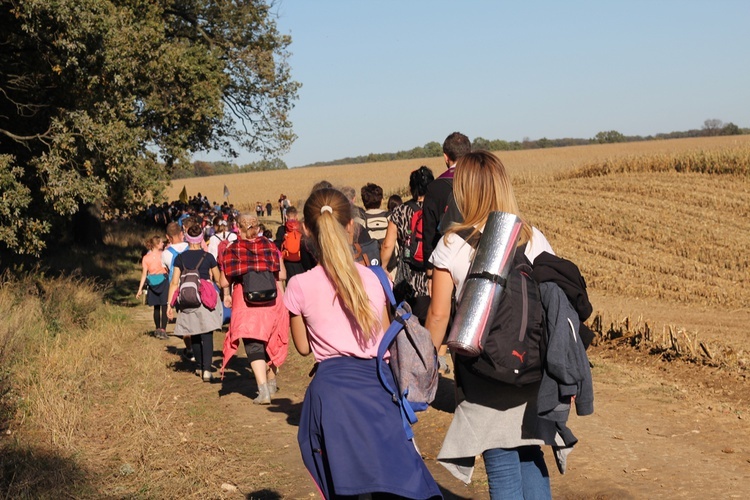 Pielgrzymka trzebnicka 2019 - cz. 13