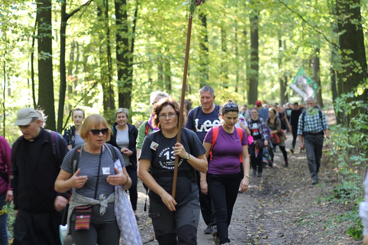 Pielgrzymka trzebnicka 2019 - cz. 13