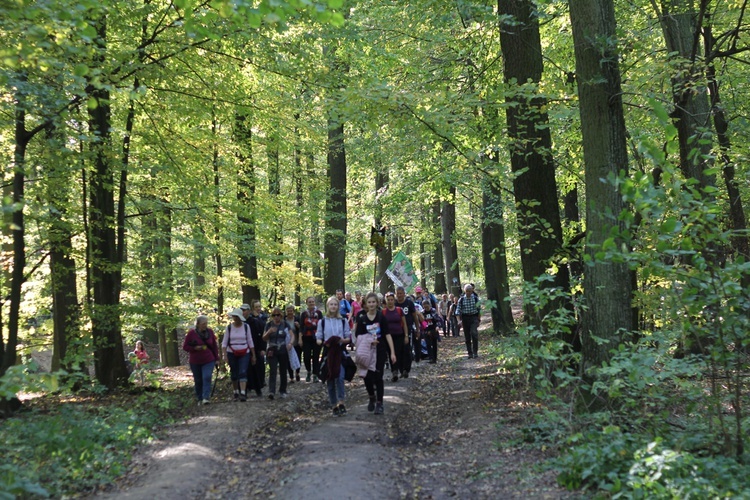 Pielgrzymka trzebnicka 2019 - cz. 13