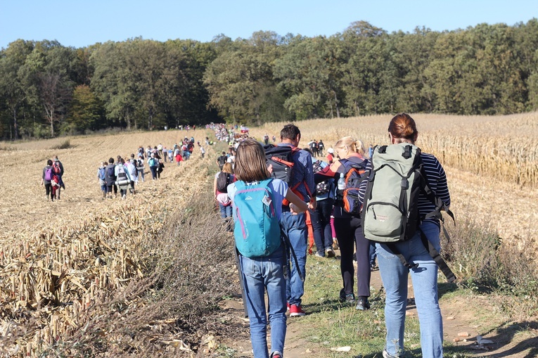 Pielgrzymka trzebnicka 2019 - cz. 13