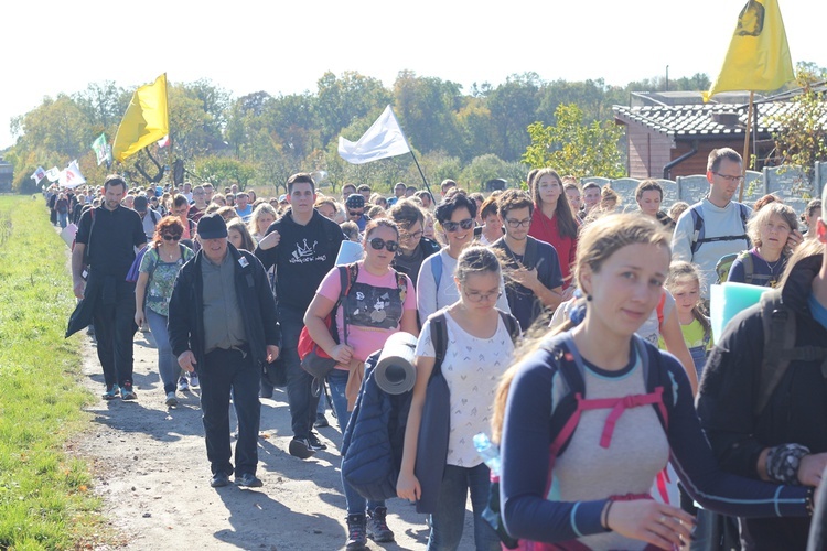 Pielgrzymka trzebnicka 2019 - cz. 13