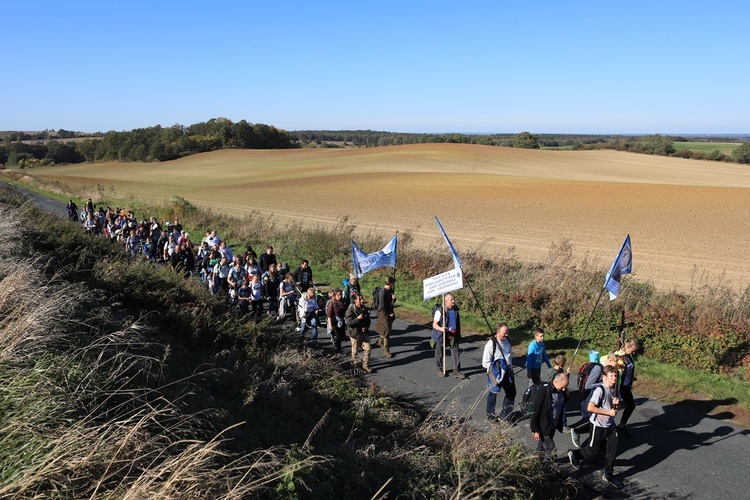 Pielgrzymka trzebnicka 2019 - cz. 15 (Bagno - Trzebnica)