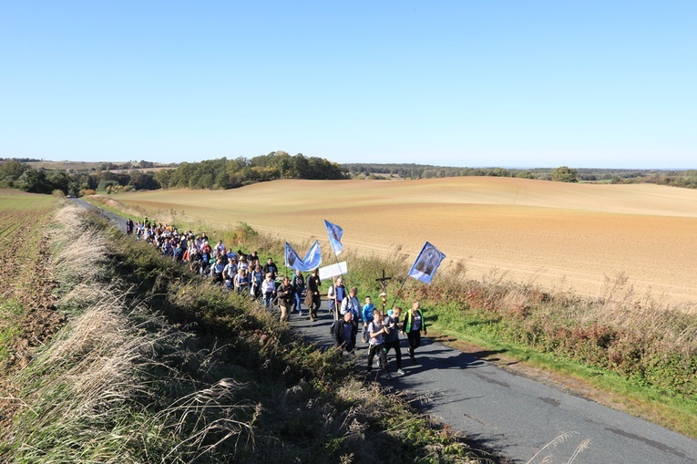 Pielgrzymka trzebnicka 2019 - cz. 15 (Bagno - Trzebnica)