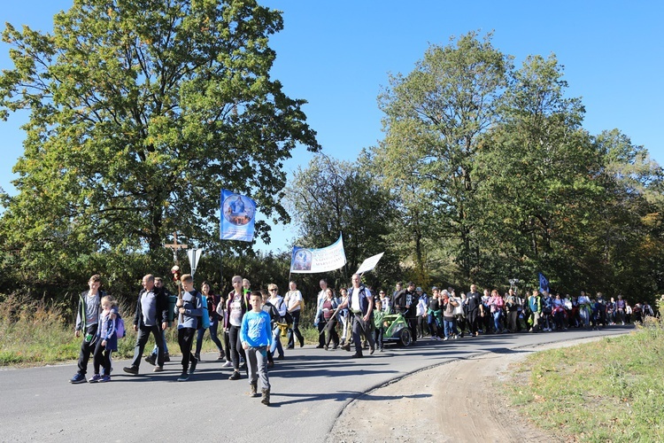 Pielgrzymka trzebnicka 2019 - cz. 15 (Bagno - Trzebnica)