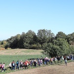 Pielgrzymka trzebnicka 2019 - cz. 15 (Bagno - Trzebnica)