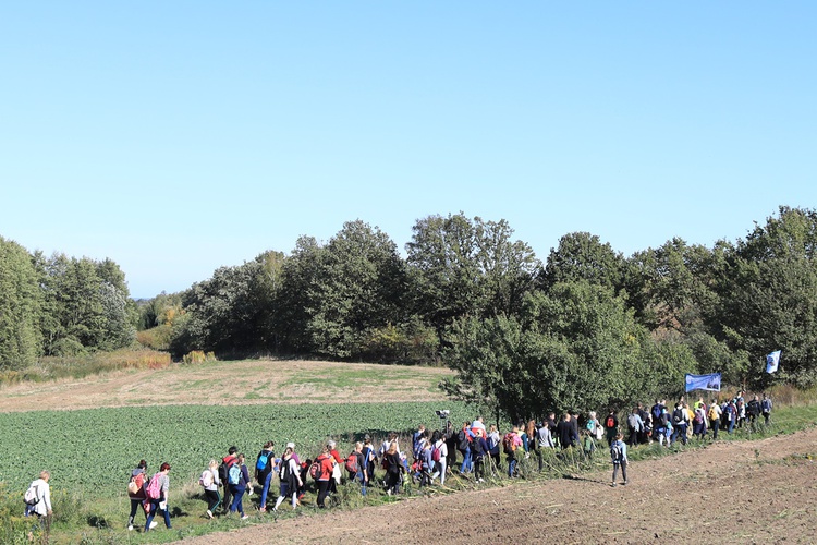 Pielgrzymka trzebnicka 2019 - cz. 15 (Bagno - Trzebnica)