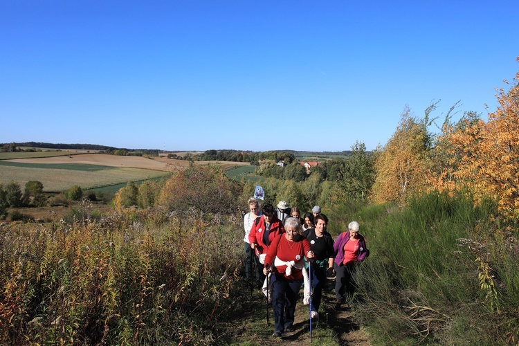 Pielgrzymka trzebnicka 2019 - cz. 15 (Bagno - Trzebnica)