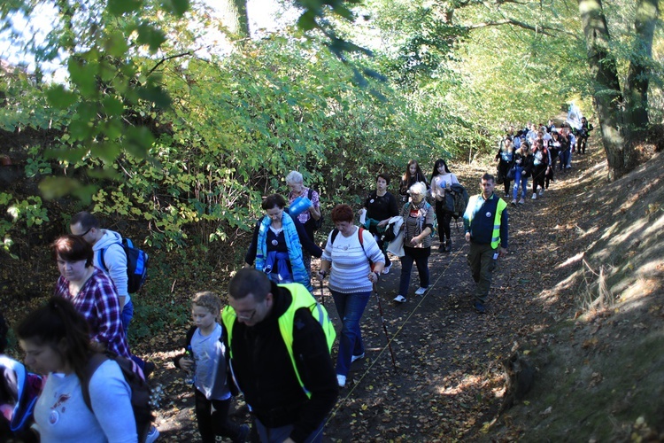 Pielgrzymka trzebnicka 2019 - cz. 15 (Bagno - Trzebnica)