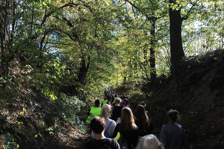 Pielgrzymka trzebnicka 2019 - cz. 15 (Bagno - Trzebnica)