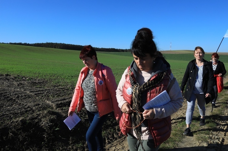 Pielgrzymka trzebnicka 2019 - cz. 15 (Bagno - Trzebnica)