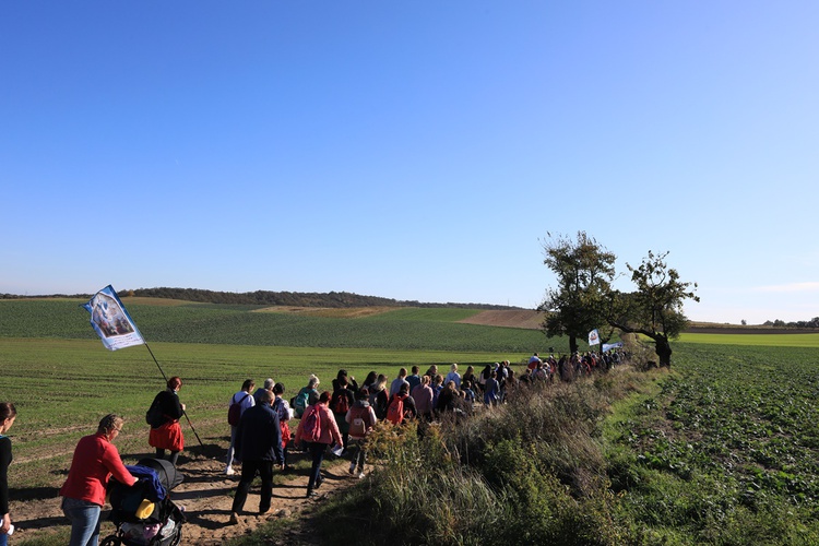 Pielgrzymka trzebnicka 2019 - cz. 15 (Bagno - Trzebnica)