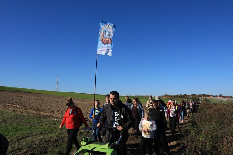 Pielgrzymka trzebnicka 2019 - cz. 15 (Bagno - Trzebnica)