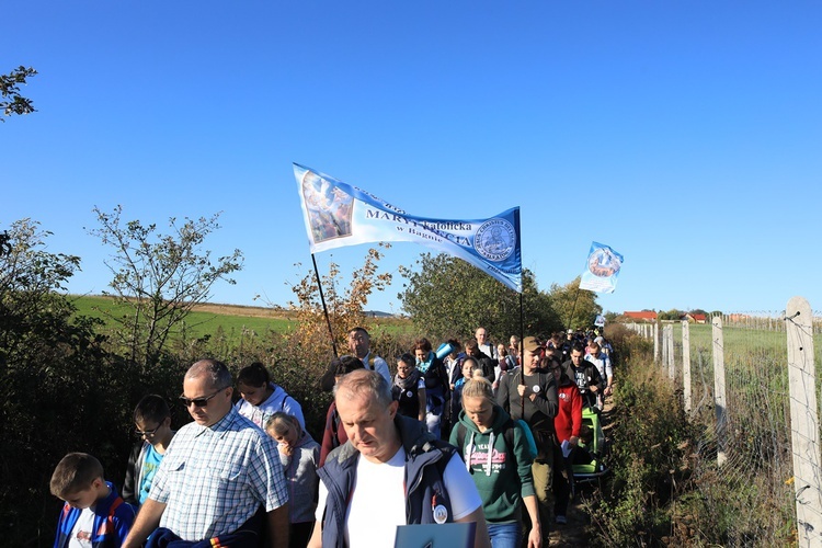 Pielgrzymka trzebnicka 2019 - cz. 15 (Bagno - Trzebnica)