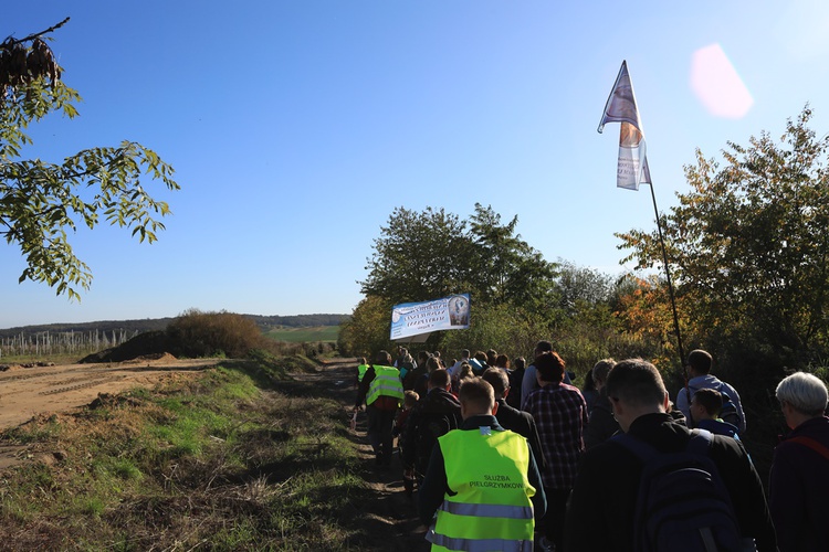 Pielgrzymka trzebnicka 2019 - cz. 15 (Bagno - Trzebnica)