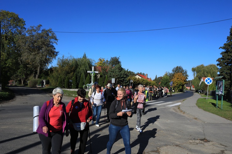 Pielgrzymka trzebnicka 2019 - cz. 15 (Bagno - Trzebnica)