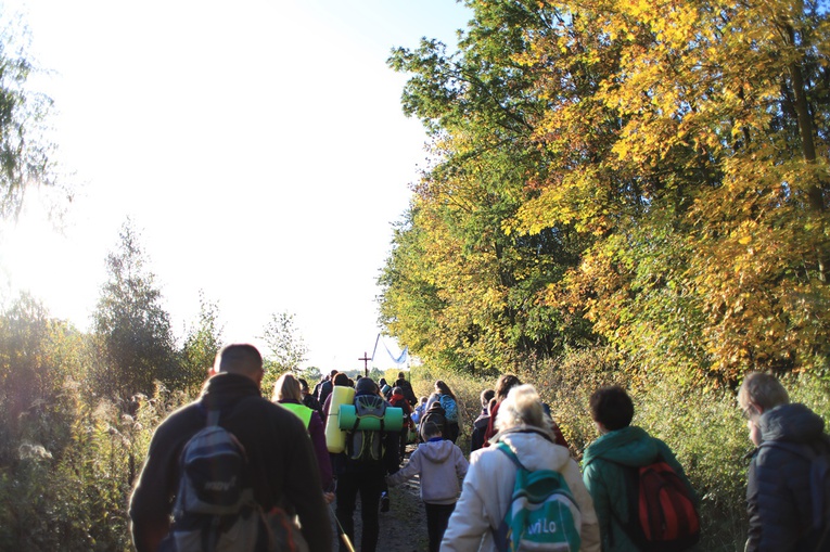 Pielgrzymka trzebnicka 2019 - cz. 15 (Bagno - Trzebnica)