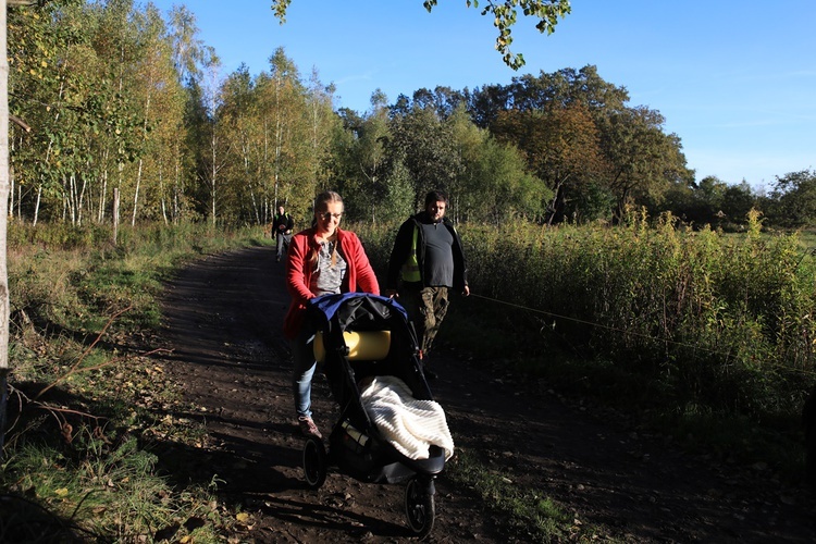 Pielgrzymka trzebnicka 2019 - cz. 15 (Bagno - Trzebnica)