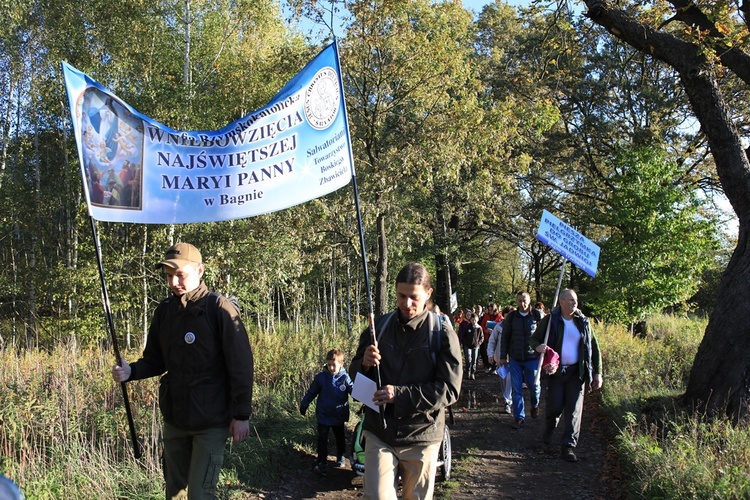 Pielgrzymka trzebnicka 2019 - cz. 15 (Bagno - Trzebnica)