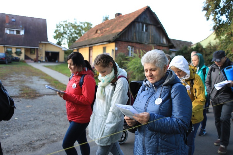 Pielgrzymka trzebnicka 2019 - cz. 15 (Bagno - Trzebnica)