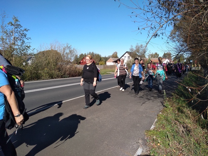 Pielgrzymka trzebnicka 2019 - cz. 16 (Milicz - Trzebnica)