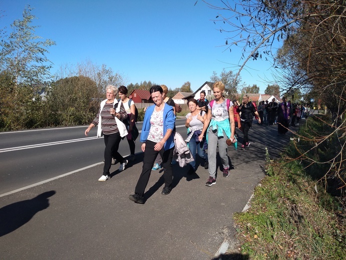 Pielgrzymka trzebnicka 2019 - cz. 16 (Milicz - Trzebnica)