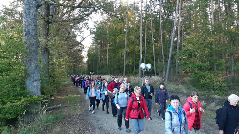 Pielgrzymka trzebnicka 2019 - cz. 16 (Milicz - Trzebnica)