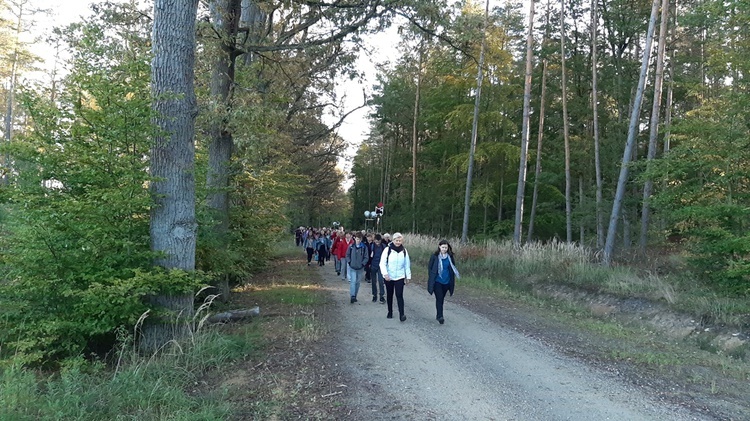 Pielgrzymka trzebnicka 2019 - cz. 16 (Milicz - Trzebnica)