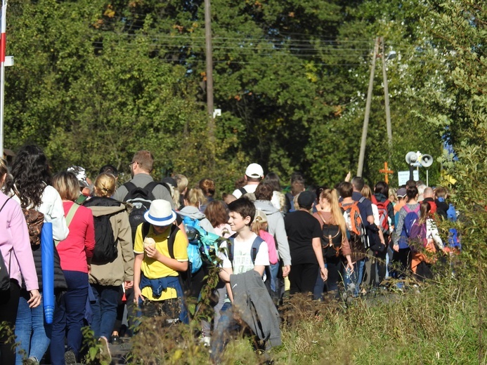 Pielgrzymka trzebnicka 2019 - cz. 17 (Oborniki Śląskie - Trzebnica)