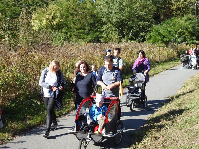 Pielgrzymka trzebnicka 2019 - cz. 17 (Oborniki Śląskie - Trzebnica)