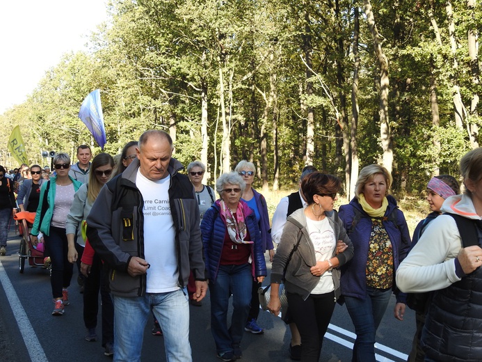 Pielgrzymka trzebnicka 2019 - cz. 17 (Oborniki Śląskie - Trzebnica)