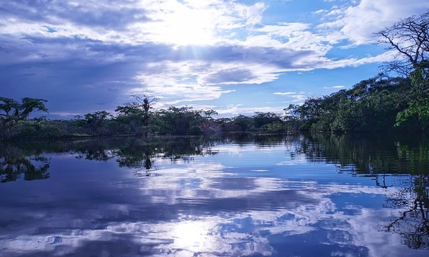 Pandemia nie zniszczyła marzeń uczestników synodu dla Amazonii