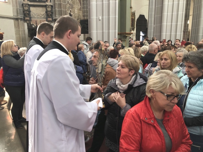 Pielgrzymka diecezji bielsko-żywieckiej do Koszyc w Roku św. Melchiora Grodzieckiego - 2019