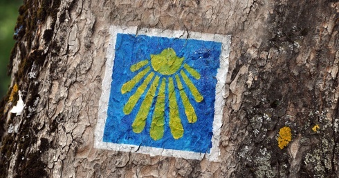 Europejskie Dni Camino de Santiago w Koszalinie