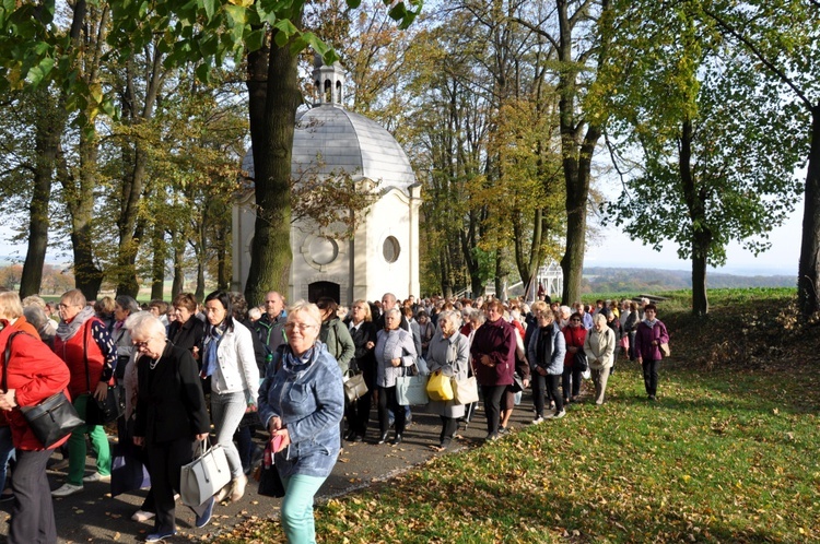 Pielgrzymka Żywego Różańca na Górę Świętej Anny