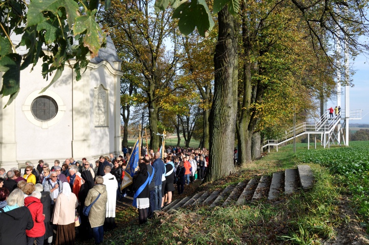 Pielgrzymka Żywego Różańca na Górę Świętej Anny