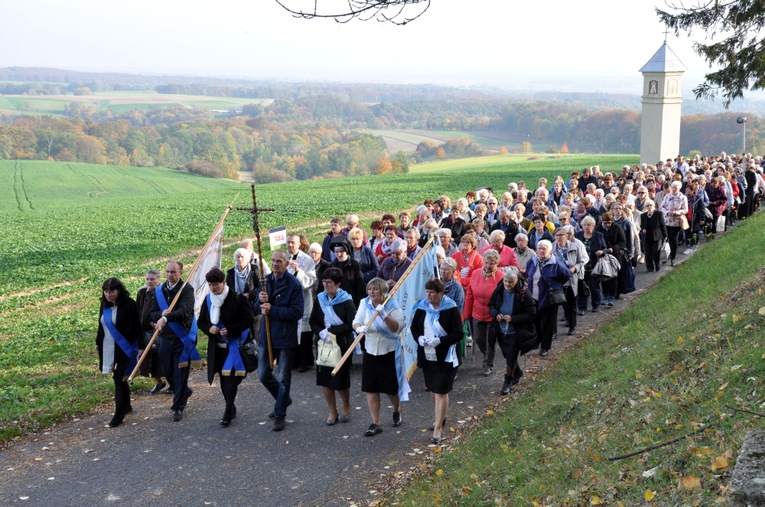 Pielgrzymka Żywego Różańca na Górę Świętej Anny