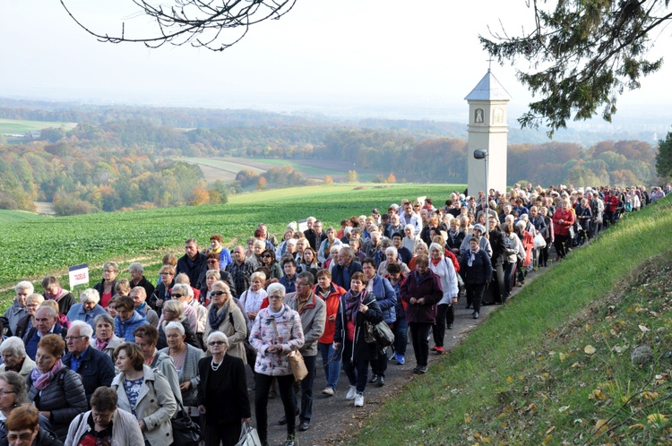 Pielgrzymka Żywego Różańca na Górę Świętej Anny