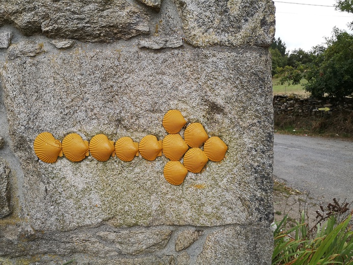 Drogami św. Jakuba