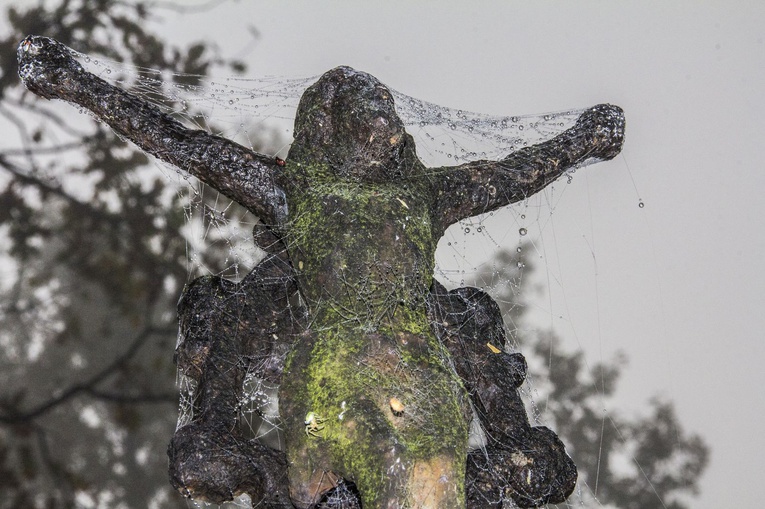 Stary Cmentarz na "Piaskach" w Miechocinie