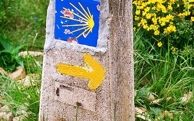 Europejskie Dni Camino de Santiago